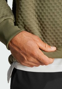 Adidas Terrex XPLORIC CREW NECK - Sudadera - olive strata