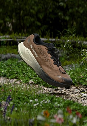 Chaussure de course Salomon marron et noire flottant au-dessus d'un sentier rocheux avec de l'herbe verte et des fleurs sauvages en arrière-plan.