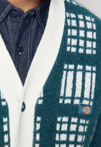 Dickies Kofta - off-white