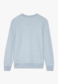 Felpa in cotone azzurro chiaro, collo a giro, maniche lunghe, polsini e bordo a costine, texture liscia, senza dettagli grafici o motivi.