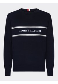 Marinblå långärmad tröja med rundad hals och vita horisontella ränder samt "Tommy Hilfiger"-logotyp centrerad på bröstet.