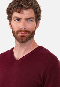 Burgundy v-neck sweater made of soft knit material, featuring a ribbed neckline and smooth texture, styled without patterns or hardware.