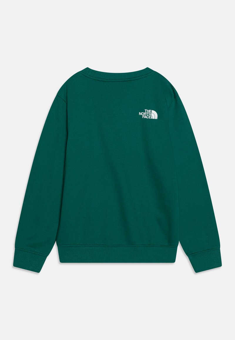 The North Face VARSITY GRAPHIC RELAXED CREW UNISEX Sudadera