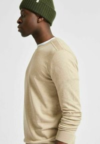 Maglione beige con maniche lunghe e scollo rotondo, realizzato in morbido tessuto lavorato a maglia. Abbinato a un berretto a coste verde scuro.