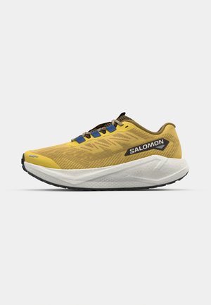 Salomon SHOES AERO BLAZE 3 GRVL - Trail running shoes - spicy mustard/vanilla ice/nautical blue