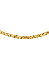 Collana in oro con link rettangolari uniformi e finitura lucida, disposta in un design flessibile che riflette la luce.