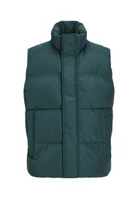 JJEBRADLEY  - Vest - magical forest