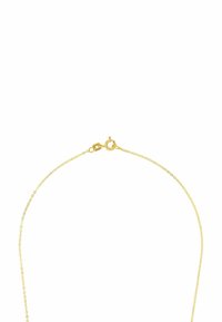 Collana placcata in oro con una fine catena a maglie rotonde, chiusura a moschettone e una superficie liscia e lucida.