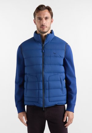 Uomo che indossa un gilet trapuntato blu senza maniche sopra una camicia blu a maniche lunghe, in piedi davanti a uno sfondo bianco uniforme.