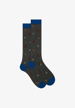 Gallo LONG WITH DOG MOTIF - Calze - ferro