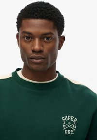 Sudadera verde de algodón con acentos crema en los hombros y logo impreso. Cuenta con cuello de canalé y corte relajado. Textura suave.