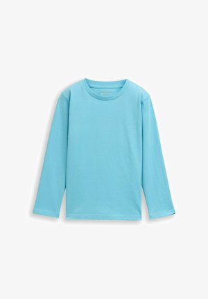 Camicia a maniche lunghe azzurro chiaro realizzata in cotone morbido, caratterizzata da un semplice scollo rotondo e polsini rifiniti. Nessun motivo o grafica presente.