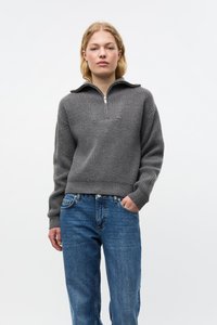 Envii WASHINGTON HALF ZIP - Pulóver - grey