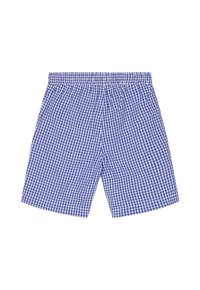 Shorts en vichy bleu et blanc avec une taille élastique, fabriqués en tissu léger, présentant une coupe droite et une longueur au genou.