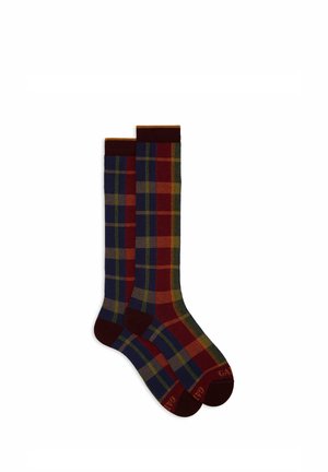 LUNGHE FANTASIA TARTAN - Calzettoni - purple