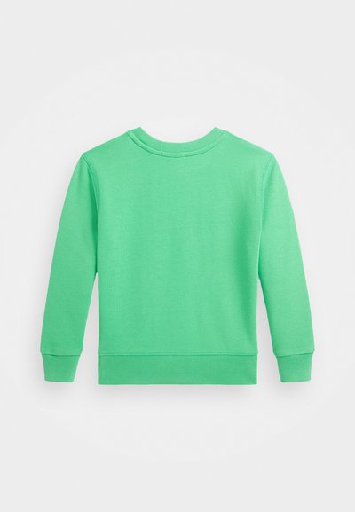 Grüner Baumwollpullover mit langen Ärmeln, Rundhalsausschnitt sowie gerippten Bündchen und Saum. Verfügt über eine glatte Textur und ein einfarbiges Design.