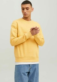 Jack & Jones JJESTAR CREW NECK - Felpa - jojoba