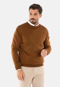 Maglione marrone a maglia con scollo rotondo, caratterizzato da polsini e orlo a coste. Indossato sopra una camicia bianca con colletto, abbinato a pantaloni di colore chiaro.
