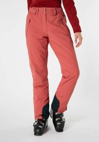 Protest PRTSTATICE - Skihose - rusticrust