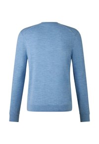 Helleblaue Langarm-Weste mit rundem Ausschnitt, glatter Textur, gerippten Bündchen und lässigem Schnitt. Keine sichtbaren Muster oder Beschläge.
