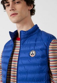 Joven vistiendo un chaleco acolchado azul sin mangas sobre una camisa a rayas multicolor, mirando al frente con expresión neutral.