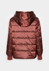 Esprit Collection Kurtka zimowa