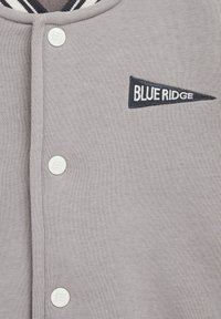 WE Fashion BLUE RIDGE - Bomber jakna - grey