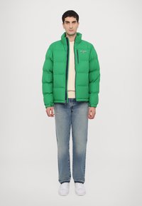 Polo Ralph Lauren PUFFER INSULATED BOMBER UNISEX - Chaqueta de invierno - green grass