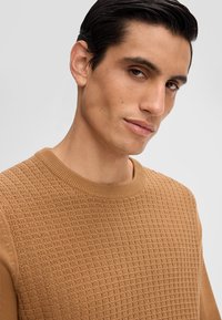 Mann mit dunklem Haar, der einen strukturierten, hellbraunen Rundhals-Pullover trägt und leicht seitlich gegen einen schlichten hellen Hintergrund schaut.