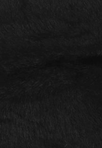 Texture di pelliccia nera morbida con peli corti, densi e leggermente lucidi visibili in una vista ravvicinata.