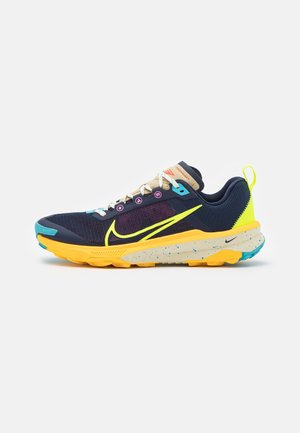Nike Performance, Chaussures de running - dark grey