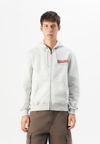 Giovane uomo con felpa grigia chiara con zip e logo rosso "Hollister" e pantaloni cargo marrone scuro, in piedi contro uno sfondo bianco.