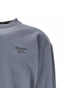 Grå sweatshirt med rund hals, ribbade ärmslut och fåll. Har en liten, mörk logotyp på bröstet med text. Mjukt bomullsmaterial.