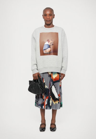 Γκρι φούτερ με γραφική παράσταση σκύλου, πλισέ πολύχρωμη φούστα, μαύρη τσάντα και μαύρες μπαλαρίνες. Υφασμάτινη επιφάνεια με ζωντανά σχέδια.