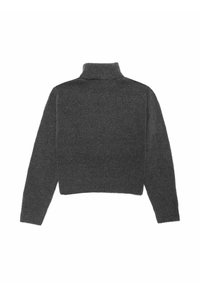 Grauer, gestrickter Rollkragenpullover mit verkürztem Schnitt. Weiche Textur, gerippte Bündchen und Saum sowie minimales Design. Rückansicht dargestellt.