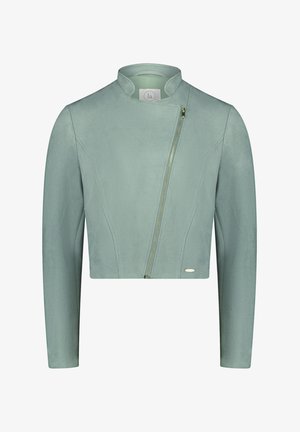 Helles grünes, kurzes Jackett aus einem samtähnlichen Material, mit Stehkragen und asymmetrischem Reißverschluss vorne.