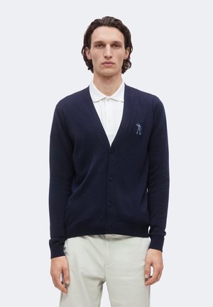 Homme aux cheveux mi-longs portant un cardigan bleu marine sur une chemise blanche à col et un pantalon clair, debout devant un fond uni et clair.