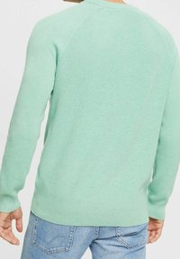 Maglione in cotone verde menta con texture a coste e maniche raglan, caratterizzato da un colletto rotondo e un orlo leggermente curvo. Indossato con jeans blu.