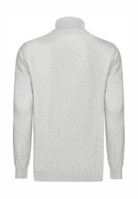 Helles graues Sweatshirt mit hohem Kragen, gerippten Bündchen und Saum. Glatte Textur, lange Ärmel und ein einfarbiges Muster.