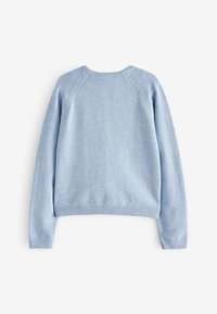 Next CARDIGAN - Cardigan - blue