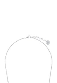 Collana d'argento con un delicato design a catena, dotata di chiusura a moschettone e di un prolungatore della catena regolabile, che crea un aspetto minimalistico.