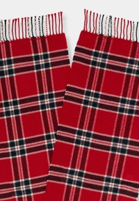 Červená kostkovaná textilie s výrazným vzorem bílých a černých linií. Okraje jsou zakončeny třásněmi pro přidanou texturu.