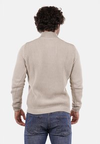 Maglione beige a maglia con colletto alto, design a coste sulla schiena e sulle maniche, e texture liscia; indossato con jeans blu.