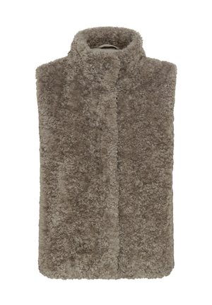 Faux fur gilet in taupe, met een hoge kraag en een open voorkant. Zachte textuur met een harige uitstraling en zonder zichtbare sluitingen of accenten.