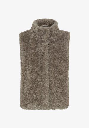 Faux fur gilet in taupe, met een hoge kraag en een open voorkant. Zachte textuur met een harige uitstraling en zonder zichtbare sluitingen of accenten.