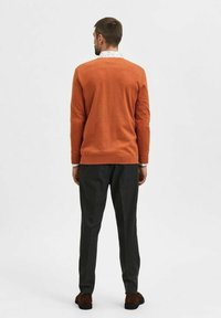 Selected Homme SLHBERG brązowy