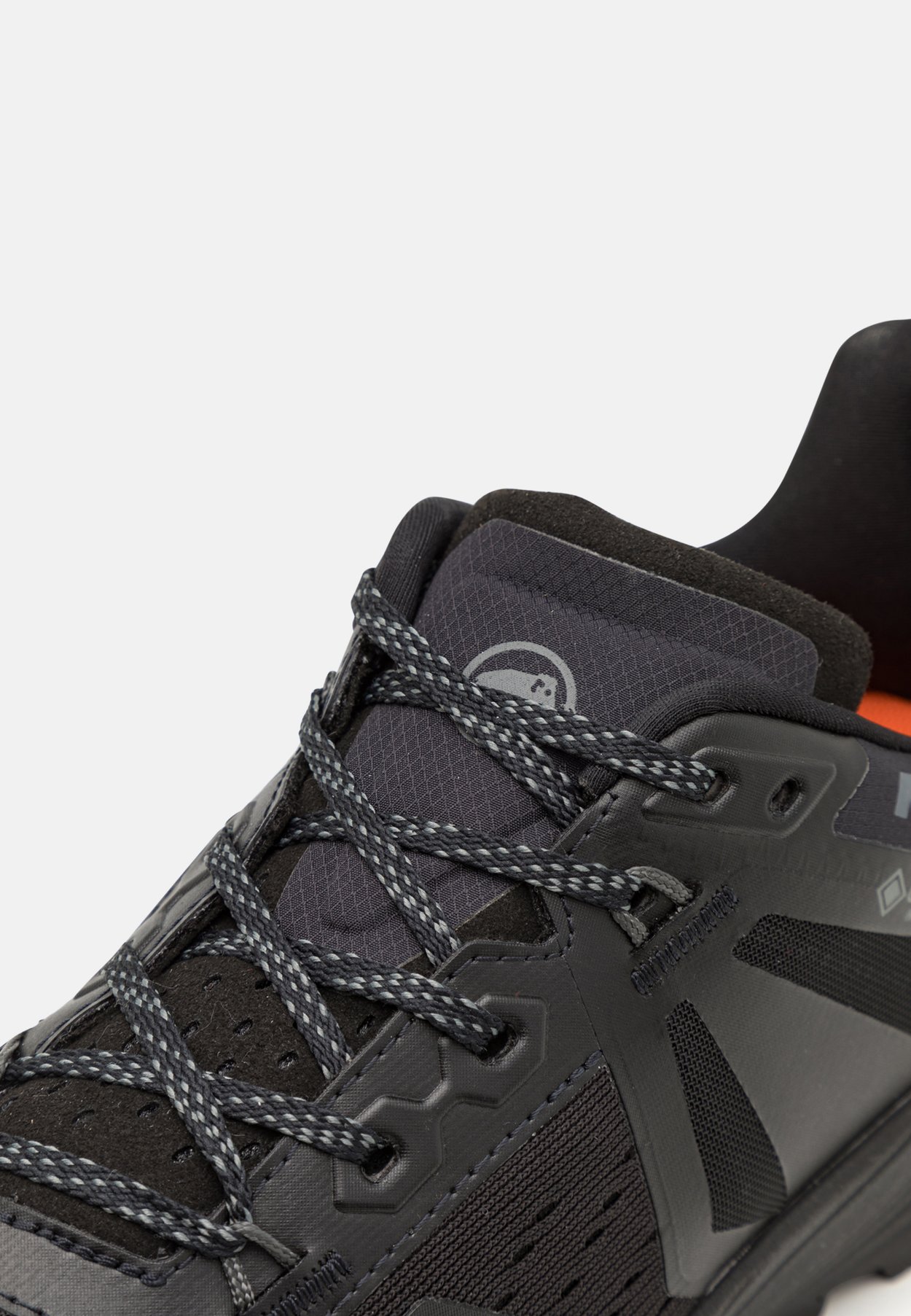 SAENTIS TR GTX