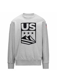 Felpa grigia con maniche lunghe, polsini a coste e collo a giro. Presenta un grande logo grafico nero "US" con stelle e design di montagna.
