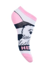 Calzini alla caviglia con un design di gufo bianco su uno sfondo a strisce blu navy, con dettagli rosa e la scritta "HED." Tessuto morbido e stretch.