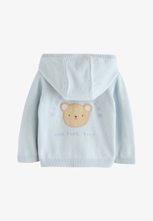 Sweat à capuche tricoté bleu clair avec une broderie de visage d'ours et le texte "100% TEAM TEDDY" en dessous. Conception à capuche avec poignets côtelés.
